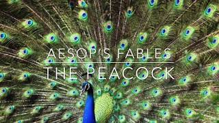 Aesop's Fables The Peacock