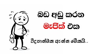 Download lagu බඩ අඩු කරන විද්‍යාත්මක මැජික් එක. | The Magic of Losing Belly Fat Fast  mp3