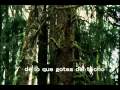 Nirvana - Something In The Way ( Subtitulado )