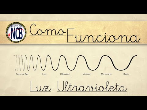 Intensa - Rayo Ultravioleta