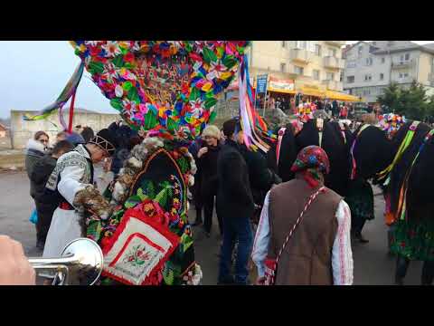 Capra de la satu nou Belceşti 2018-2019