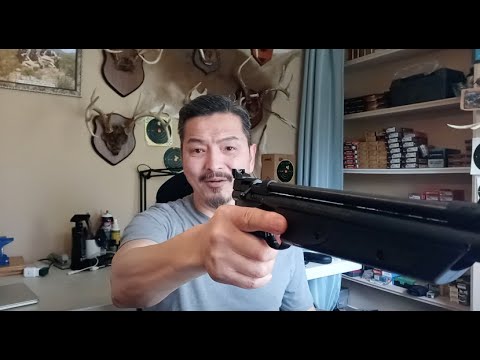 Crosman 1377 air pistol review, accuracy, pellet speed \u0026 penetration according to 5, 7, 10 pumps.