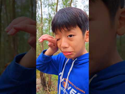 🥺💔 The boy cried when he thought he had abandoned the poor puppy in the woods