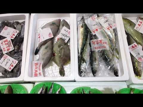 動物に優しい庭の池のための 5 つのヒント トピックス