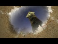 Clip 1