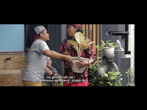 cak-silo-kembang-agromena