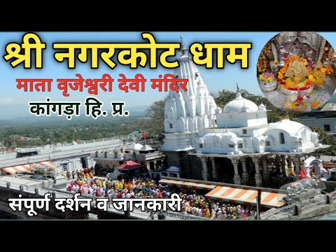 नगरकोट मंदिर| Brijeshwari mata mandir |Kangra devi temple Himachal | Nagarkot dham yatra |Nagar kot