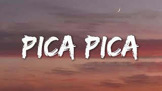 Download lagu Pica Pica - Juan Reza (Lyrics) mp3 Download lagu Pica Pica - Juan Reza (Lyrics) mp3