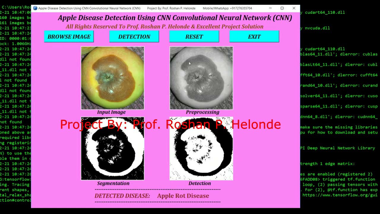 Fruit Disease Classification Using CNN Python Code | Fruit Disease Analysis Using Neural Network
