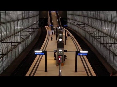 Hektik & Tims Line - Rabenvater Staat