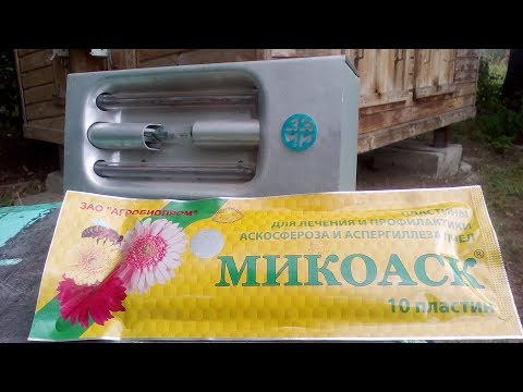 Лечение аскосфероза на пасике, чеснок рулит!!!