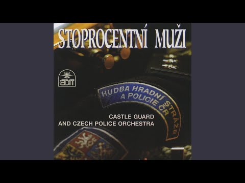 Pochod stoprocentních mužů