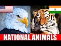 National Animals of The World  | Countries, Flags, and Their Amazing National Animals