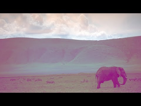 Jacob Henry & Coastal - Serengeti [Silk Music]