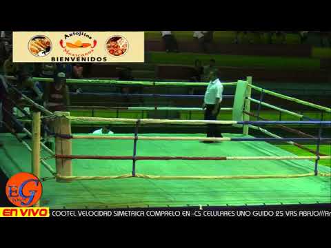 Nilo Guerrero vs joel Perez