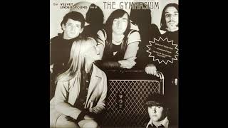 the Velvet Underground - Guess I'm Falling In Love (Live '67)