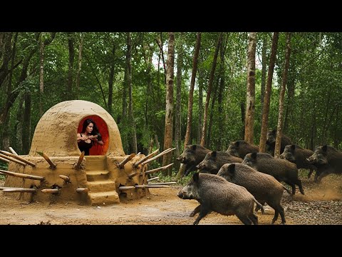 I Survived a Wild Boar Stampede with My DIY Shelter