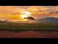 Afro Brotherz - The Lands (Original Mix) [2020]