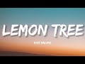 Post Malone - Lemon Tree (Lyrics)