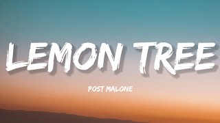 Lemon Tree thumbnail