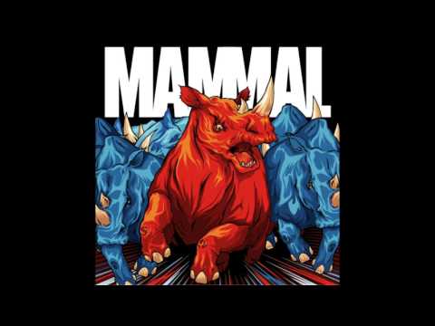 Groove Junkie - Mammal