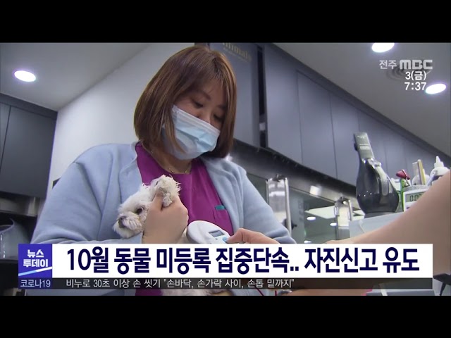 10월 동물 미등록 집중단속 자진신고 유도