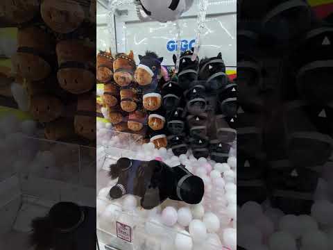 Let try for a claw machine pony again!