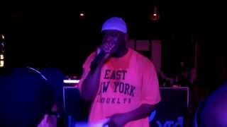 Masta Killa - Soul & Substance + R U Listening? - Wu-Tang Clan Live 2013 St. Pete FL