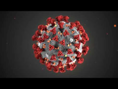 brylson - koronawirus (prod. C4RLOS)