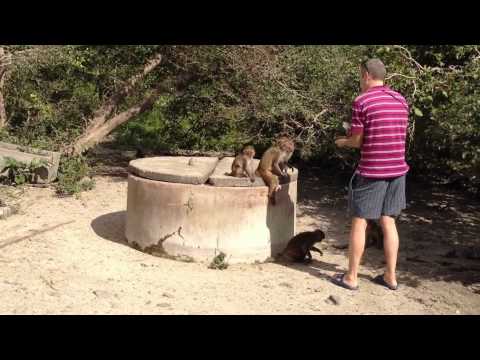Monkey Island in Nha Trang, Vietnam. Part 1