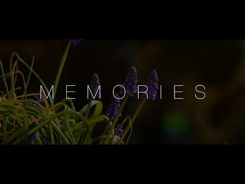 AK - Memories