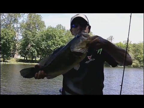 SMALL PONDS GIANT BASS ON HUDDLESTONS AND ZMAN CHATTERBAITS