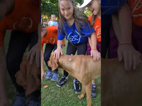 Ntc kamp 2023.@ntcucenje @ntccentricg @articpinokio