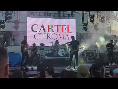 Cartel - Honestly - Live from 2024 Andrew McMahon Holiday From Real Cruise