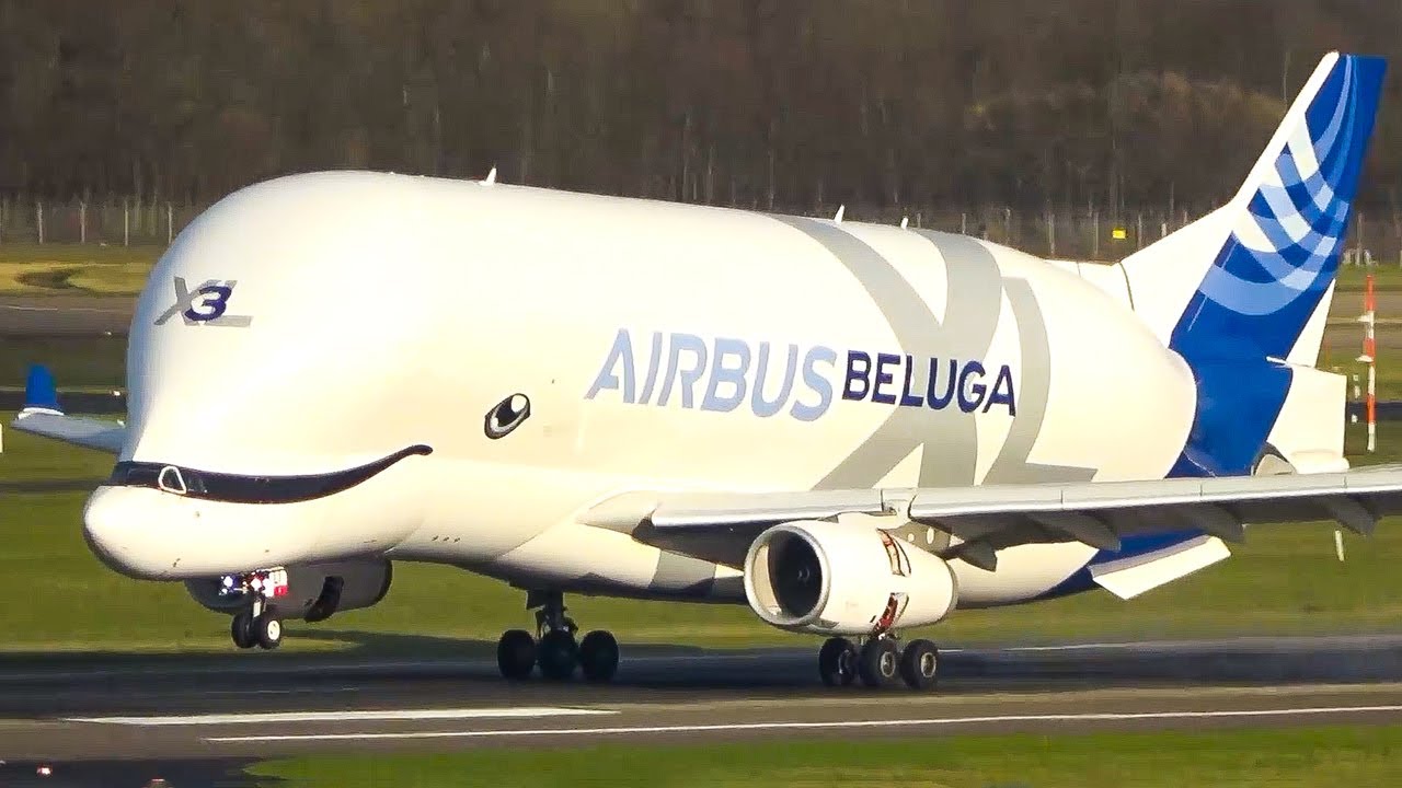 AIRPLANE REVIEW of YEAR 2025 - DUS Edition - Airbus Beluga, A380, B777, B757 ... (4K)