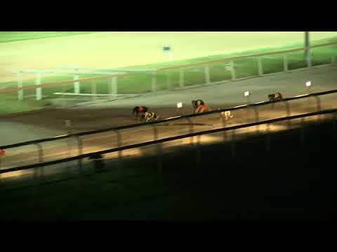 2017.10.06. 5. futam - Agár verseny