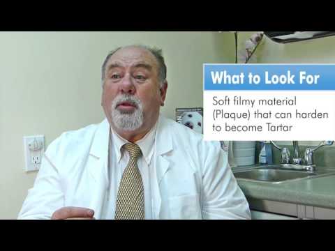 Oral Health Awareness