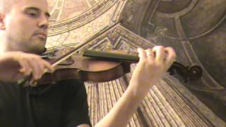 Amatus labeled violin # 480