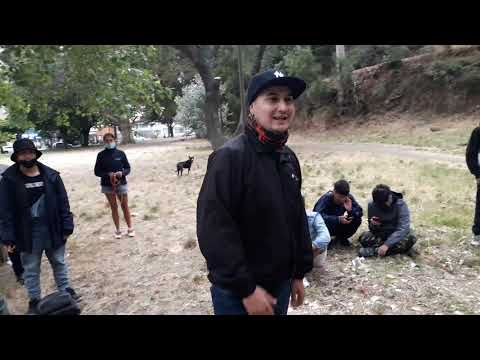 FOX vs GRIZZLY vs GALVA vs ALABASE: Filtros-HUNTER BATTLES