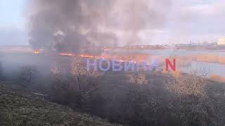 Появилось видео масштабного пожара на камышовых зарослях в Николаеве