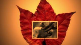 Cable Car Theory &quot;Threads&quot;