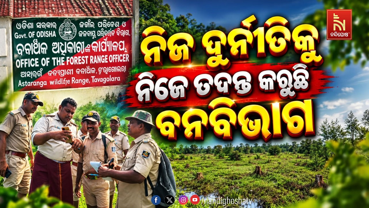 🔴Live | ନିଜ ଦୁର୍ନୀତିକୁ ନିଜେ ତଦନ୍ତ କରୁଛି ବନବିଭାଗ ! | NandighoshaTV