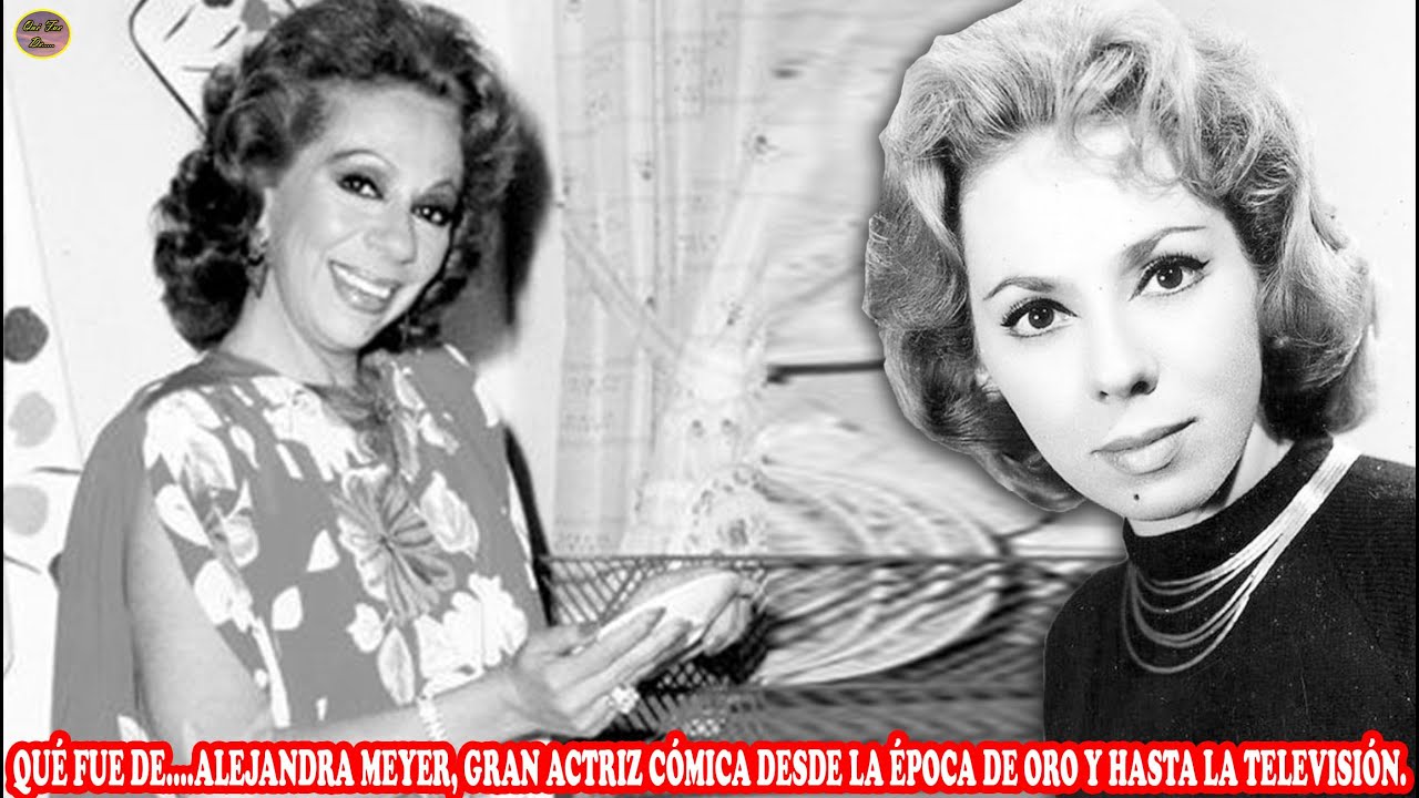 YouTube Thumbnail Downloader FULL HQ IMAGE