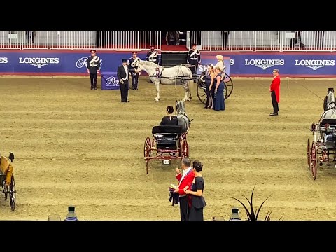Welsh Pony & Cob Pleasure Carriage Driving The Royal Agricultural Winter Fair 2024 Horse Show