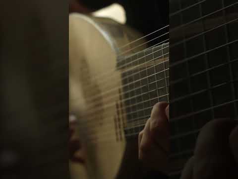 Bach Largo (Violin Sonata No. 3 BWV 1005) on Theorbo #Bach #Largo #Theorbo #EarlyMusic #BaroqueMusic