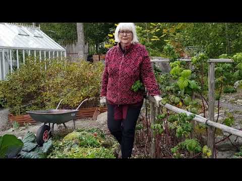 Gör en kompostlimpa