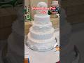 4 H Cakes At The Indiana State Fair 2024 Cakedecorating 4h 4hprojects Shortsvideo Indianastate