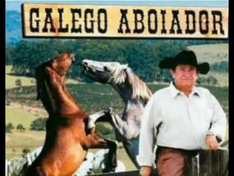 Os grandes Sucessos de Galego Aboiador#só as melhores#Toadas# Vaqueio#