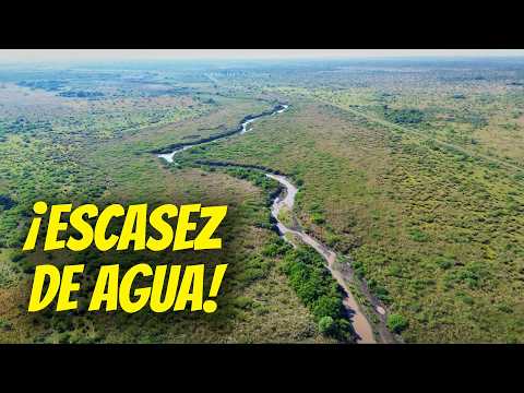 La Lucha del Ecosistema ante la ESCASEZ del AGUA! 🌎💧. Cap. 101