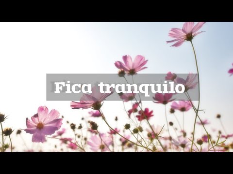 Vídeo: Mensagem Yla Fernandes: perguntas e respostas populares